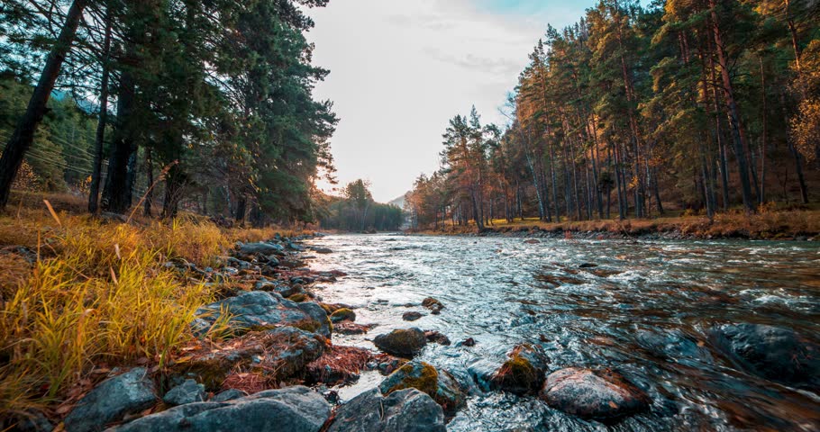 4K mountain river timelapse at the summer or autumn time. Wild nature, clear water and rural evergreen valley. Sun rays, small creek and yellow grass. Motorised dolly slider movement