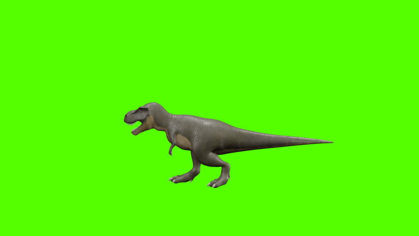 Tyrannosaurus rex dinosaur walking animation on green screen background - Powered by Shutterstock - Get 15% off with code: PIKWIZARD15
