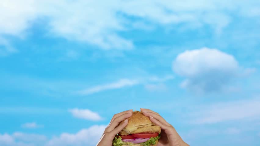 Shutterstock Video