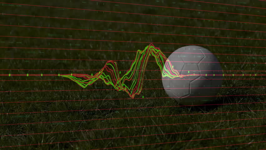 Shutterstock Video