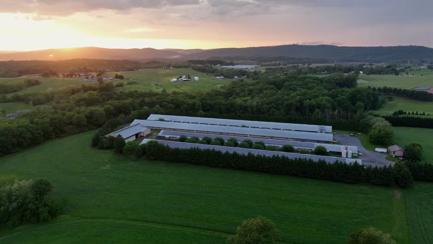 Aerial view of modern farmstead with solar panels on roof of barn building. Golden sunrise behind mountains. Green scenic farm fields and forest trees in suburbia.