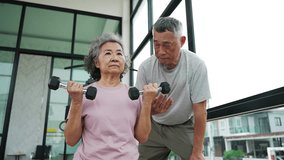 Asian Senior couple is working out together in a gym, focusing on strength exercises. Elderly Woman holds dumbbells while husband encourages her, healthy lifestyle. - Powered by Shutterstock - Get 15% off with code: PIKWIZARD15
