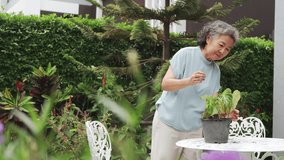 Asian Chinese woman carefully trims a potted plant while enjoying a serene moment in a garden. - Powered by Shutterstock - Get 15% off with code: PIKWIZARD15