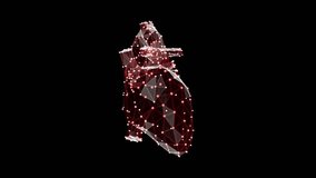 3d animation of low-poly heart beating over dark background. Heart wireframe made of light points. Seamlessly loopable video. 3D Illustration - Powered by Shutterstock - Get 15% off with code: PIKWIZARD15