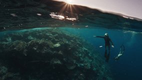 Splitted underwater shot of the shallow coral reef and freedivers swims underwater nearby. Komodo National Park, Indonesia - Powered by Shutterstock - Get 15% off with code: PIKWIZARD15