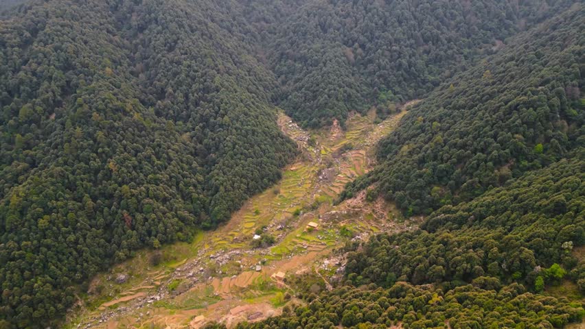 Aerial View of Green Mountains and Dense Forest in Buner, Khyber Pakhtunkhwa, Pakistan – Natural Scenic Landscape