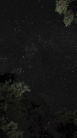 Time lapse of moving stars over a forest in the night sky. Starry night background. Epic video, vertical footage