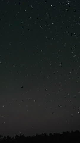 Time lapse of comet-shaped star trails over the forest in the night sky. Stars move around a polar star. Epic video, vertical footage