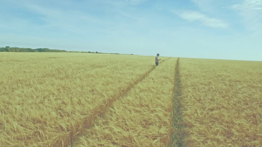 Farmer activating device, displaying AR CO₂ water-drop icons over wheat scanning stalk for analysis. Agriculture, innovation, sustainability, precision, technology, environmental, data
