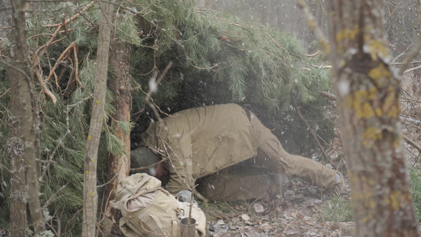 Man sheltering under pine branches during snowfall in forest, Survivalist hides from snow under handmade pine shelter with gear in cold woodland