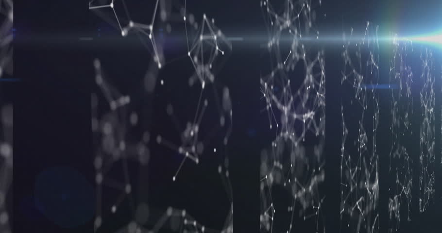 Shutterstock Video