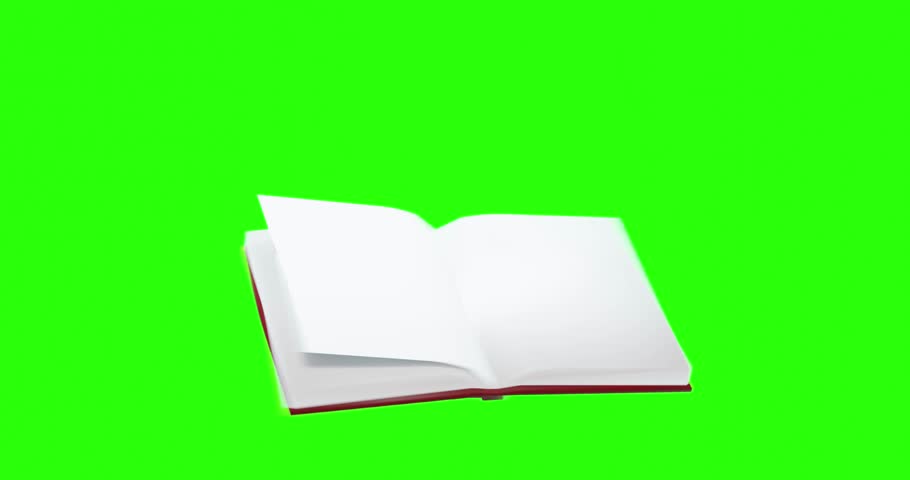 Shutterstock Video