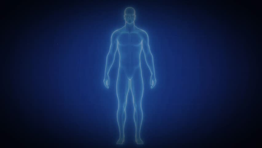 Blue scan of human body computer tomography hologram heart brain pulse x-ray medicine treatment innovation technology, Includes AI-generated art; all motion and editing manually created by contributor - Powered by Shutterstock - Get 15% off with code: PIKWIZARD15