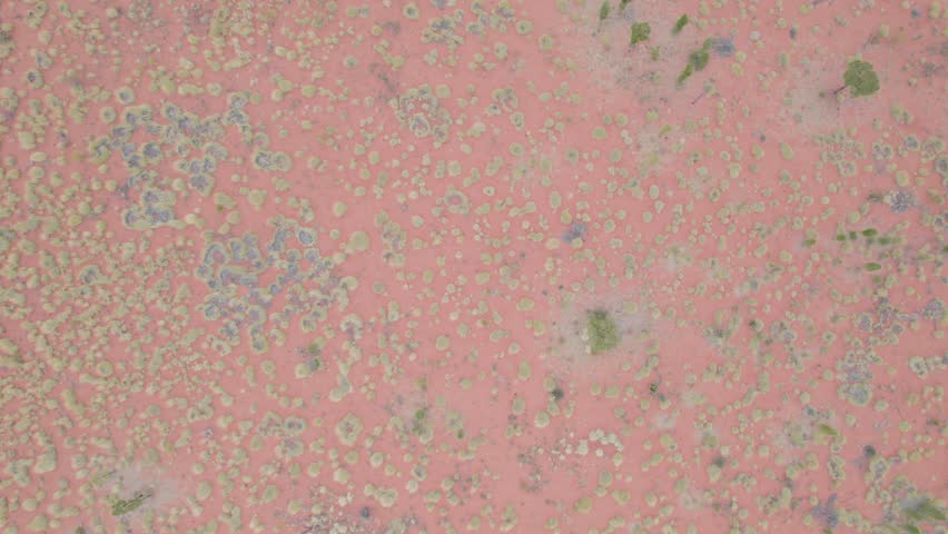 Top-down View Of Red Centre, Extraordinary Landscape Of Desert Plains In Northern Territory, Australia. Aerial Shot