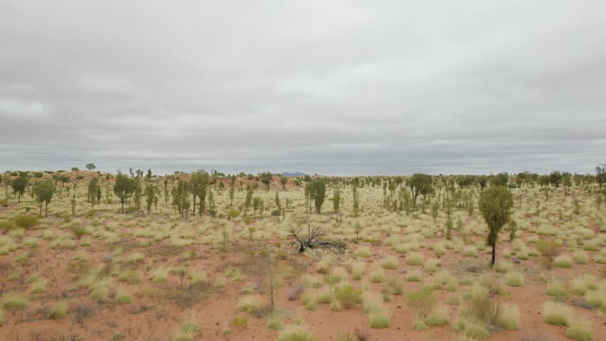 Outback Desert Plains Near Kata Tjuta - Mount Olga In Northern Territory, Central Australia. Aerial Drone Shot