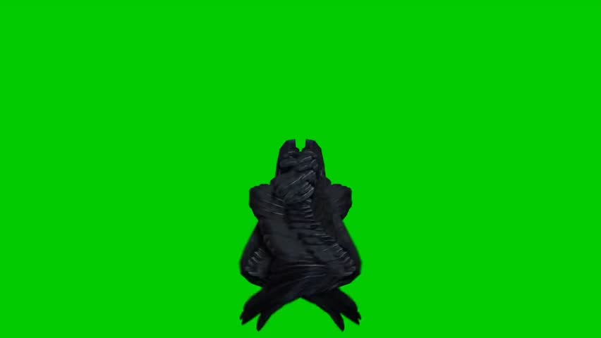 Realistic black wings animation on green screen for visual effects and fantasy edits