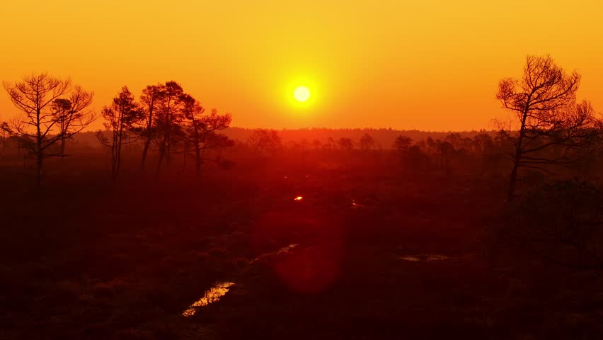 Drone moves forward over spring bogscape at sunrise in Ķemeri National Park