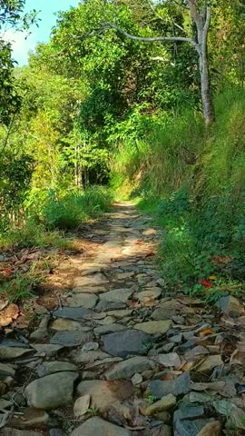 A beautiful stone path on the mountainside.