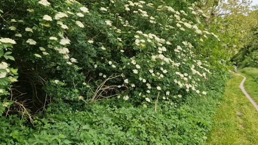 Nature
Wilderness, Scenery, Outdoorsy 
 Sunset
Sunset, Dusk, Sundown
 Sunset with Mountains
Mountainsunset, Mountainsundown, Ridgeglow
 Sunrise
Sunrise, Dawn, Daybreak
 Bedouin Tea
Bedouintea, Dese