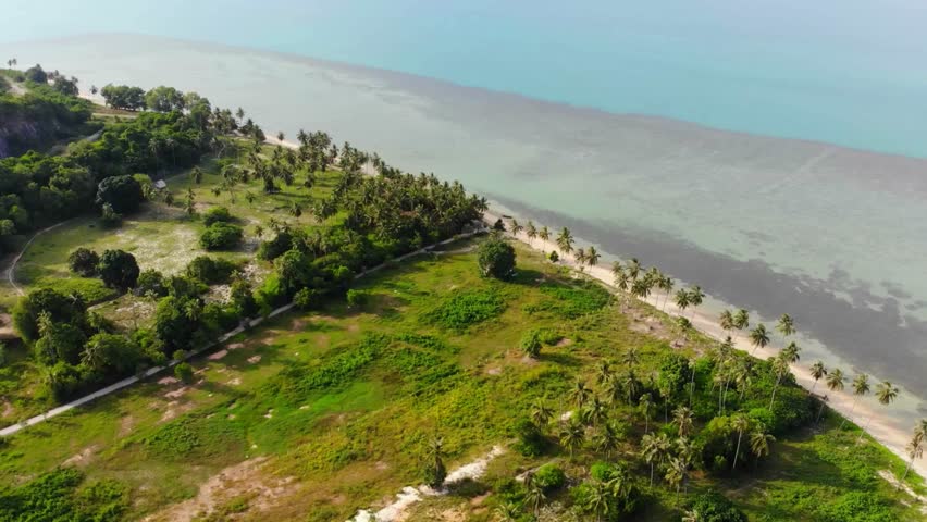 Aerial View of Coastal Green Landscape and Shoreline