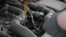 Checking Engine Oil Level with Dipstick in Car Engine Bay - Powered by Shutterstock - Get 15% off with code: PIKWIZARD15
