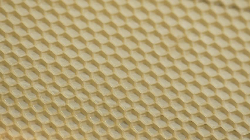Wax tiles, hive inside. Clean wax tiles and treated by bees, selective focus, bees working inside the hive, 4k video