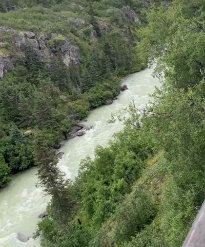 Rushing River in the Yukon