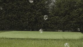 Fresh green grass with soap bubbles, beautiful lawn with sun rays in early morning, country house, cottage and forest blurred in background. High quality FullHD footage - Powered by Shutterstock - Get 15% off with code: PIKWIZARD15