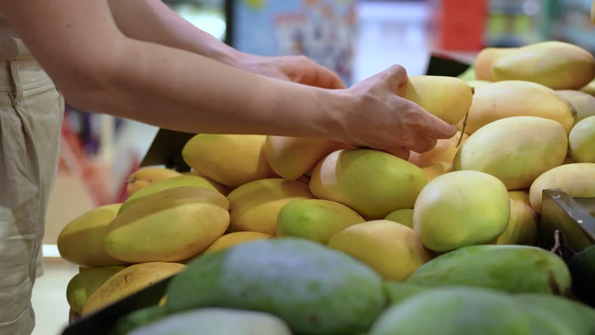 Tourist woman examing mango fruit, squeezing to test ripeness before buy. Fresh tropical fruit selection, grocery shopping, travel destination in grocery market, local produce quality checked
