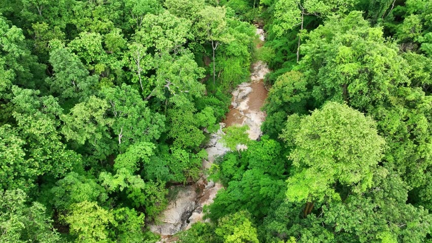 Drone captures lush forest canopy with a narrow river winding through rocks, highlighting vibrant greenery and the serene environment of a thriving woodland ecosystem. Thailand.
