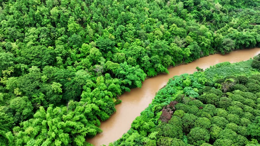 Drone captures sediment-rich floodwaters meandering through dense green forests, highlighting the interaction between floodwaters and natural landscapes in a flood event. Thailand.
