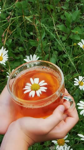 Against the background of chamomile and green grass, children's hands hold a glass cup with chamomile tea. Up in the cup there is a beautiful daisy