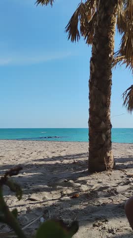 A lady walks from under the shade of a palm canopy onto sunny, sandy Caspersen beach toward the turquoise waters of the Gulf of America coast in Florida.