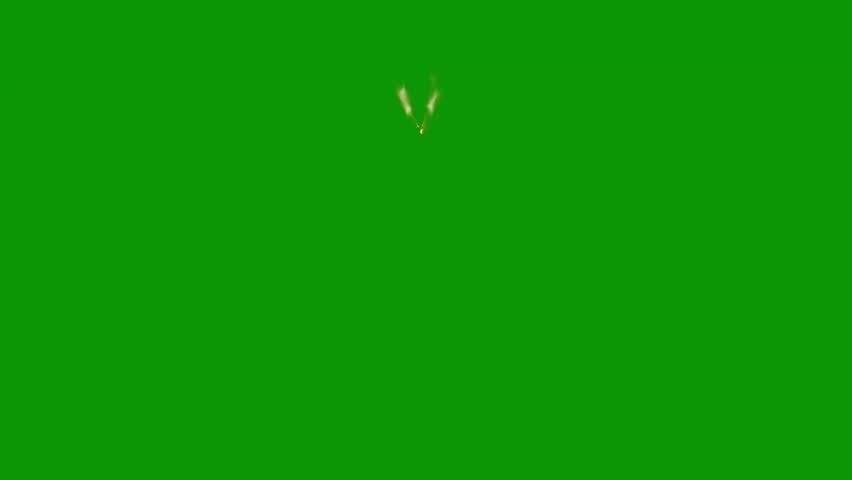 Shutterstock Video