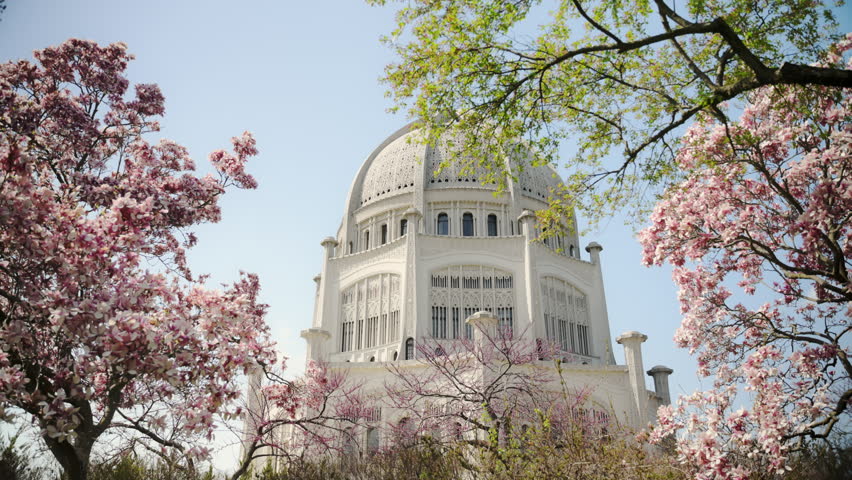 White temple in Chicago with detailed white dome architecture. In the foreground, pink cherry blossoms are in full bloom.