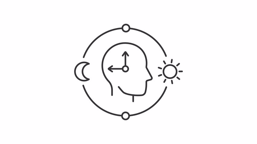 Circadian health line animation. Human head with biological clock animated icon. Optimize cognitive function for daytime. Outline element on white background. HD video with alpha channel