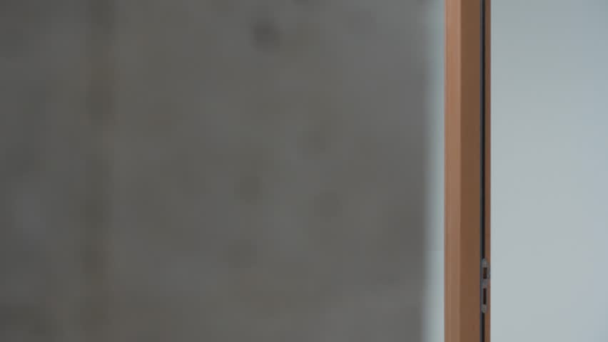 Shutterstock Video