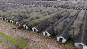 Drone moves forward above abandoned decaying animal farm buildings in Latvia - Powered by Shutterstock - Get 15% off with code: PIKWIZARD15
