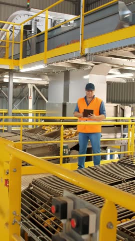 Corn. Corn processing factory. an enterprise for production, procurement and preparation for sale of corn seeds. Agribusiness. corn seed production. Agriculture.