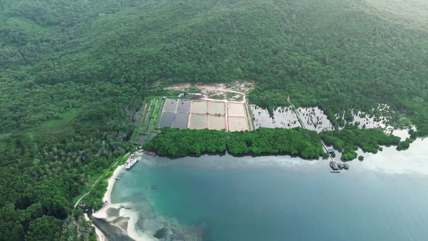 Aerial view of shrimp ponds in Karimunjawa, Central Java. Aquaculture site near coastal mangrove areas with rural tropical landscapes and clear skies.