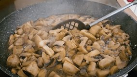 Cooking Mushrooms in Pan While Stirring Them Gently at Kitchen Countertop During Meal Preparation. Close up cooking delicious champignons. Preparing tasty and nutritious vegan or vegetarian dishes - Powered by Shutterstock - Get 15% off with code: PIKWIZARD15
