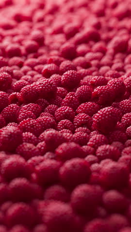Colorful background covered with raspberries. Ripe berries for wallpaper. Patterns with fruits. Close-up. Vertical composition.