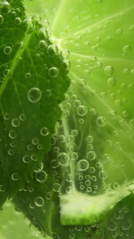 Close up of mojito cocktail with fresh slices lime mint and ice rotate in circle. Macro bubbles in glass with carbonated drink. Summer drink