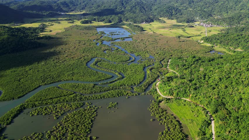 Aerial pullback of scenic winding mangrove rivers and forest amid lush tropical island valley during daytime at Bato, Catanduanes, Bicol, Philippines.