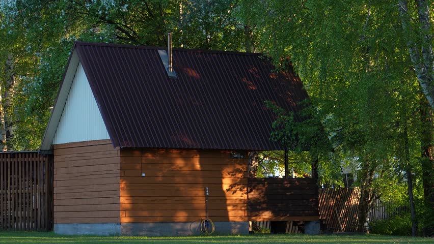 Birch branches in warm golden hour light. A cozy village house in the background evokes childhood memories of peaceful summer evenings, simplicity, and quiet life in the countryside.