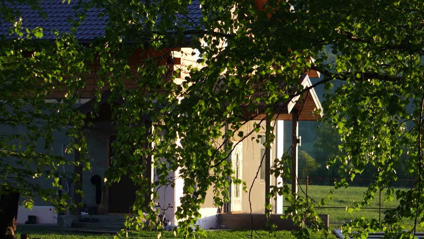Birch branches in warm golden hour light. A cozy village house in the background evokes childhood memories of peaceful summer evenings, simplicity, and quiet life in the countryside.