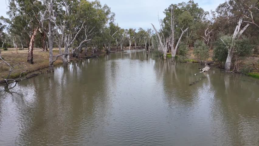 A drone footage of a reflective serene Creek surrounded by trees and blue sky in Victoria, Australia