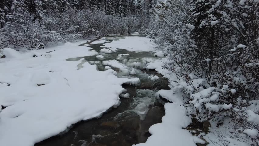 A scenic footage of the snow surrounding water rushing down the Riley Creek in Denali National Park and Preserve, Alaska, USA during daytime