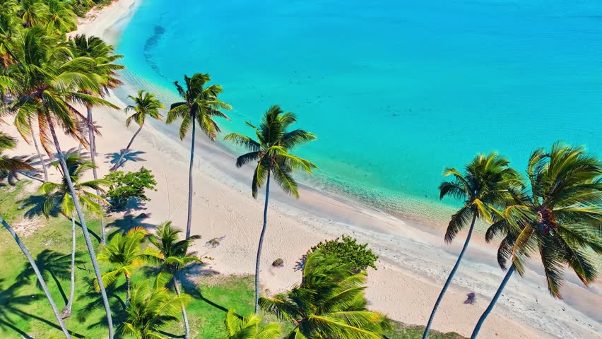 Coconut palm trees on sandy beach and turquoise ocean background. Amazing summer nature landscape. Stunning sunny beach scenery, relaxing peaceful and inspiring beach holiday template.