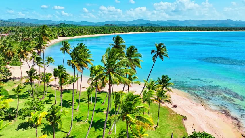 Summer Caribbean sea beach with coconut palms on white sand. Idyllic seascapes of the Dominican Republic. Picturesque peninsula with tropical beach and colorful coconut palms, drone view.